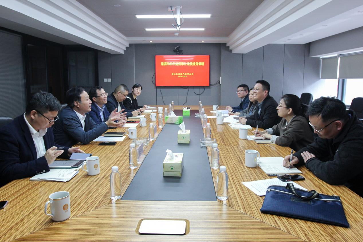 集團(tuán)到公司開展運營審計條線調(diào)演.png